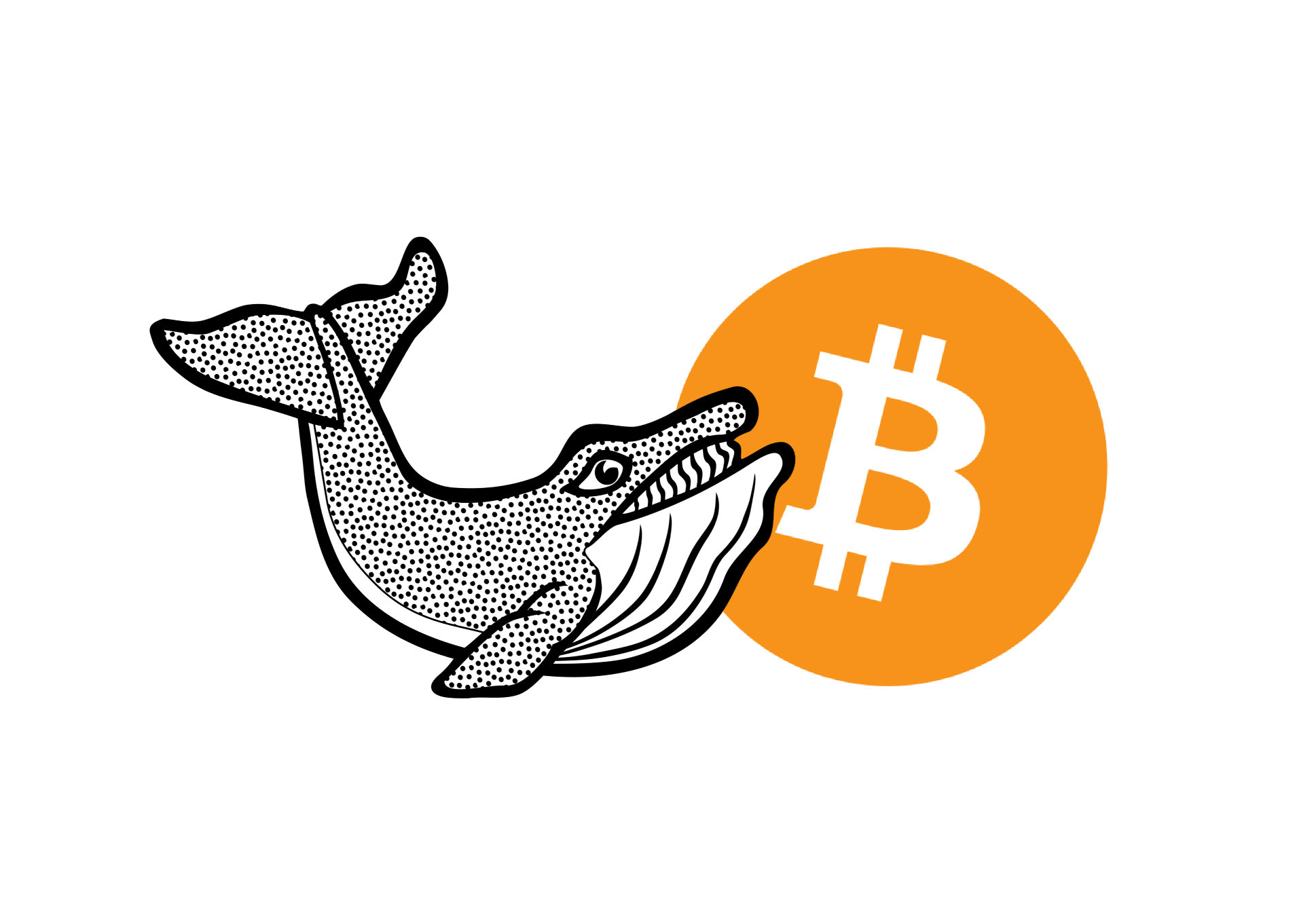 what cryptos are whales buying