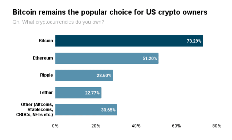 bitcoin popularity in the us